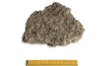 F 00017
<br/>
<br/>
<em></em>